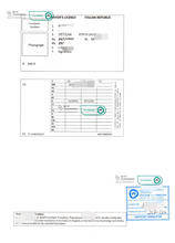 Load image into Gallery viewer, Driver License Translation (By NAATI-Certified Translator)